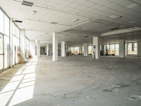 Zona Industriale D1