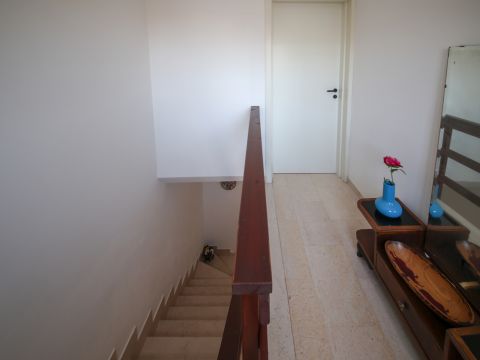 Via Venere 37