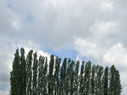 Via Panzacchi, 3