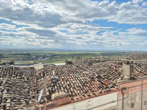 Vico I Zingari, 14