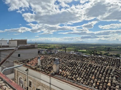Vico I Zingari, 14