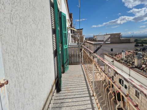 Vico I Zingari, 14