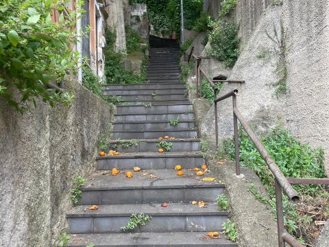 Contrada Acqua del Conte 31