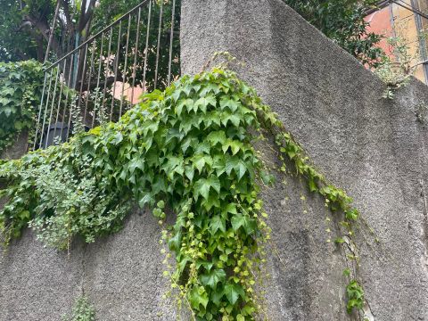 Contrada Acqua del Conte 31
