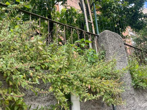 Contrada Acqua del Conte 31
