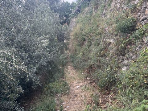Via Torello