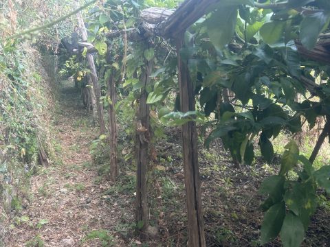 via torretta a marmorata snc