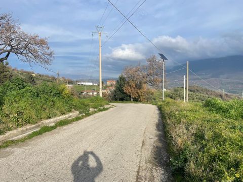 C.da Ficocelle snc