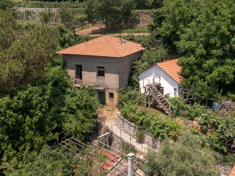 Via Santa Lucia