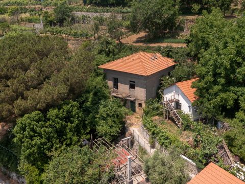 Via Santa Lucia