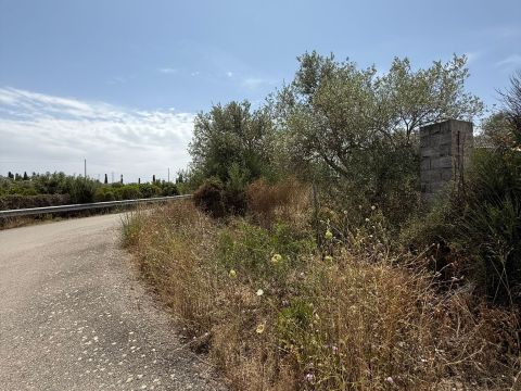 SV Li Curuneddi tronco A