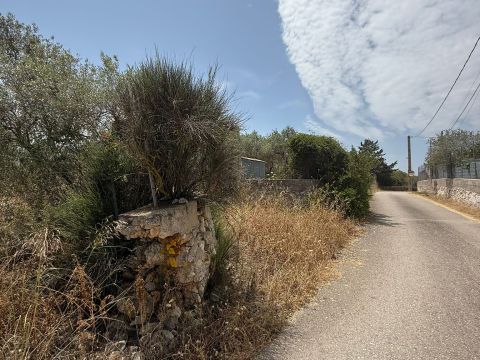 SV Li Curuneddi tronco A