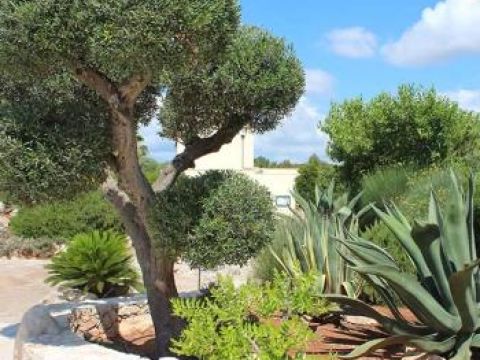 Prov.le Presicce/Lido Marini