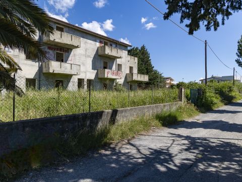Viale dell'Amicizia