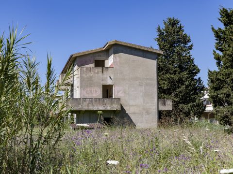 Viale dell'Amicizia