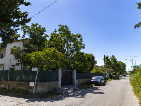 Viale dell'Amicizia