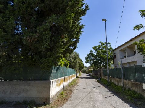 Viale dell'Amicizia