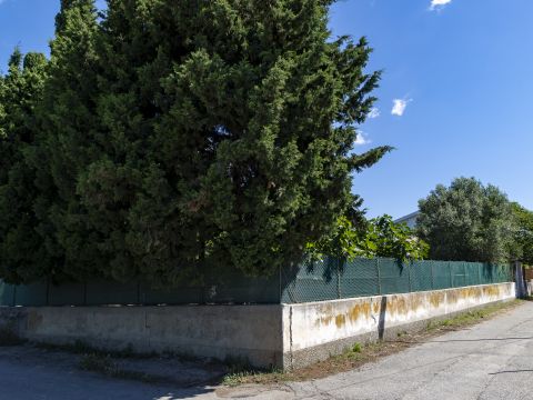 Viale dell'Amicizia