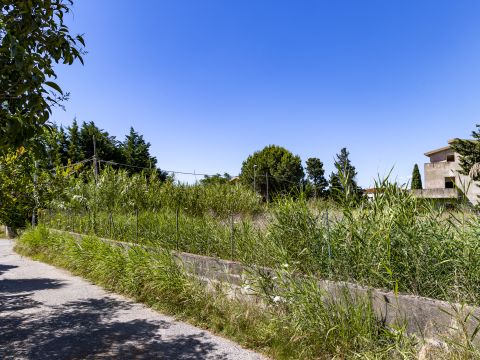 Viale dell'Amicizia