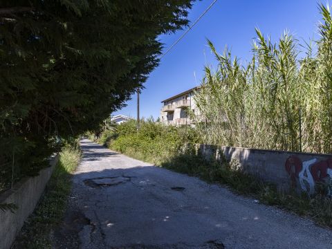 Viale dell'Amicizia
