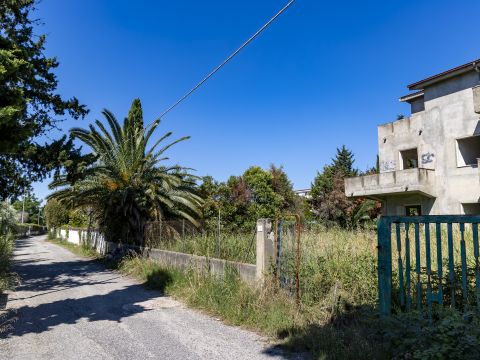 Viale dell'Amicizia