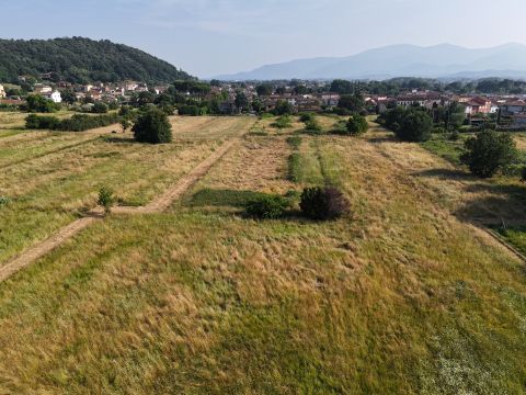 Via Martellacci