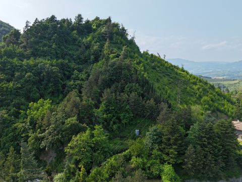 Via Barco, 134