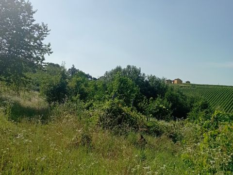 Frazione Camporello 7/8