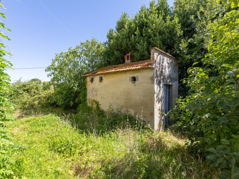 Via Fonda, 34