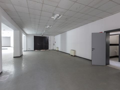 Via Lucchese,5