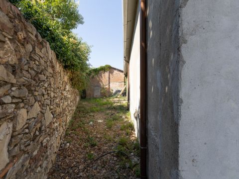 Via Lucchese,5