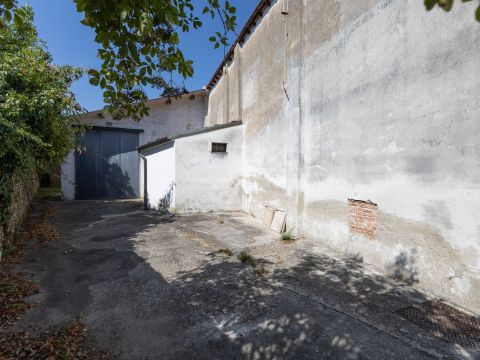 Via Lucchese,5