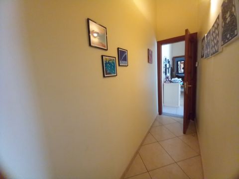 Via Papale, 40