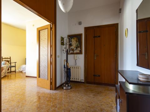 Via Domenico Mottola d'Amato 37