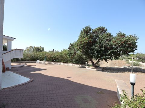 SP291