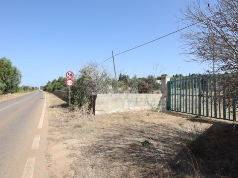 SP291