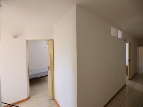 SP291