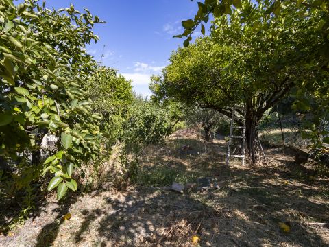 Via Solferino 10