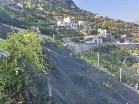 via civita 10