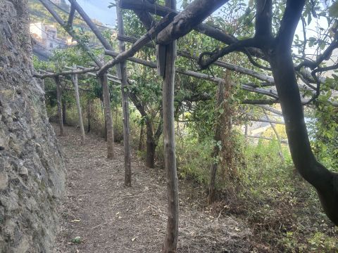 via civita 10