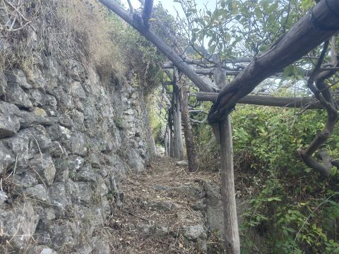 via civita 10