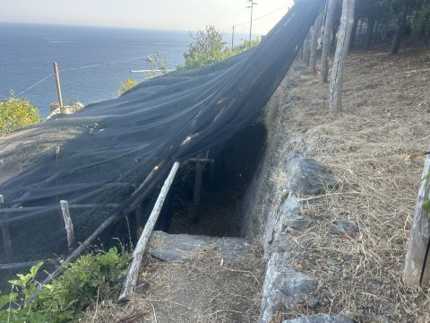 via civita 10