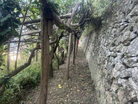 via civita 10