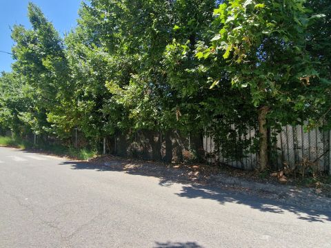 Via Conti di Loritello snc