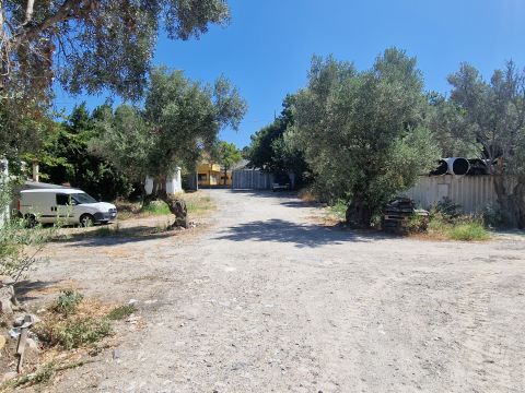 Via Conti di Loritello snc