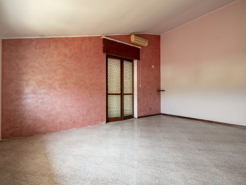 Via Aquileia 39