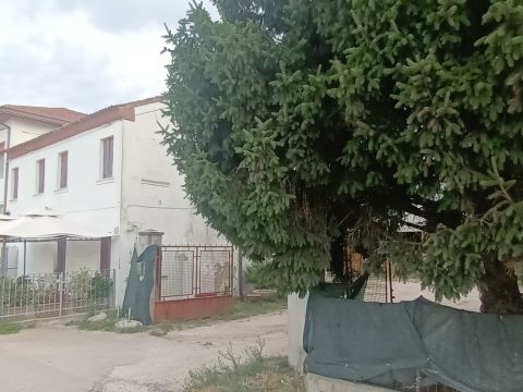 Via Fenilone, 16