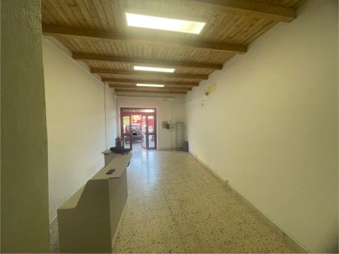 Piazza Umberto I - Altavilla Silentina