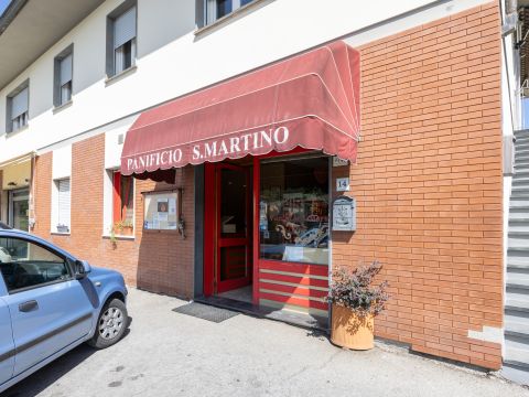 Via per Camaiore - Lucca