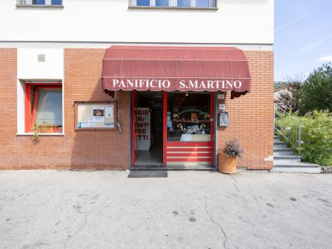 Via per Camaiore - Lucca
